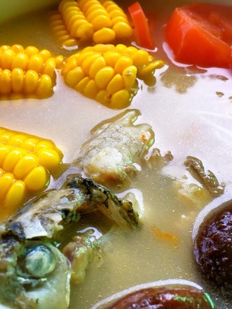 Crucian Fish Soup