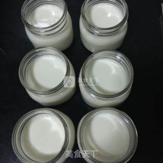 Home-made Yogurt recipe
