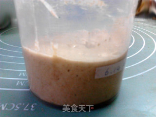 The Cultivation of Pineapple Juice Natural Ferment recipe