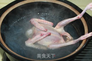 【chongcao Pigeon Soup】——a Good Product for Conditioning and Nourishing recipe