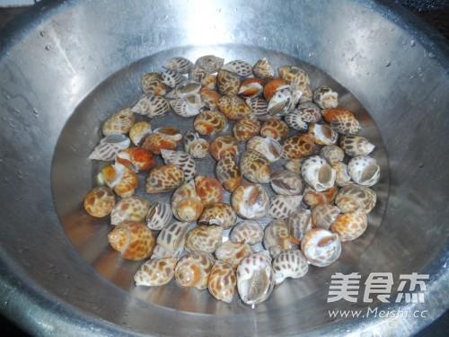 Boiled Flower Snail recipe