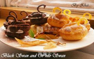 Family Secrets---black Swan and White Swan (black Swan and White Swan) recipe