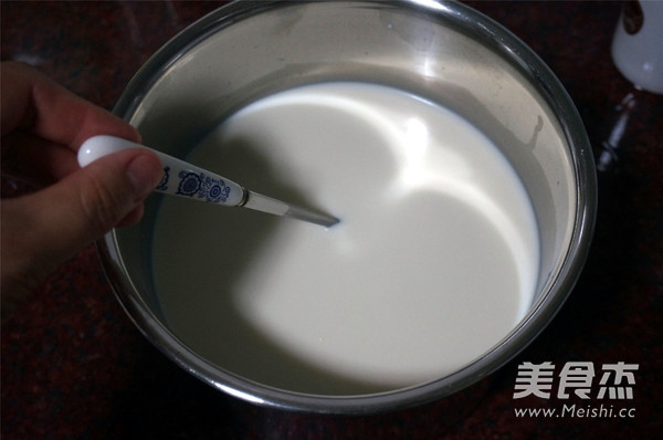 Guangdong Freshly Brewed Silky Yogurt recipe