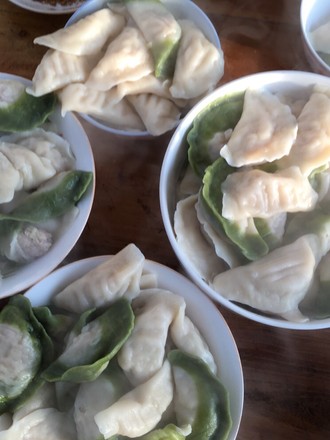 Different Dumplings recipe