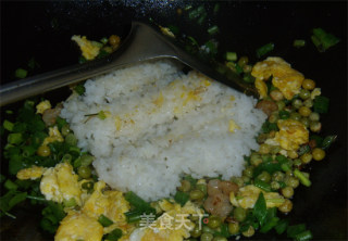 Fried Rice with Shrimp and Egg recipe