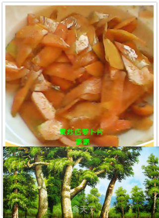 Vegetarian Fried Carrot Slices recipe