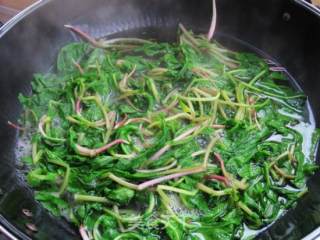 Radish Salad recipe