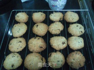 Mocha Oatmeal Grape Cookies recipe