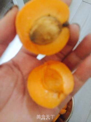 Canned Apricots Vs Syrup recipe