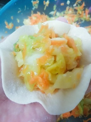 Carrots, Cabbage and Vegetable Buns (one-time Fermentation, with Video) recipe