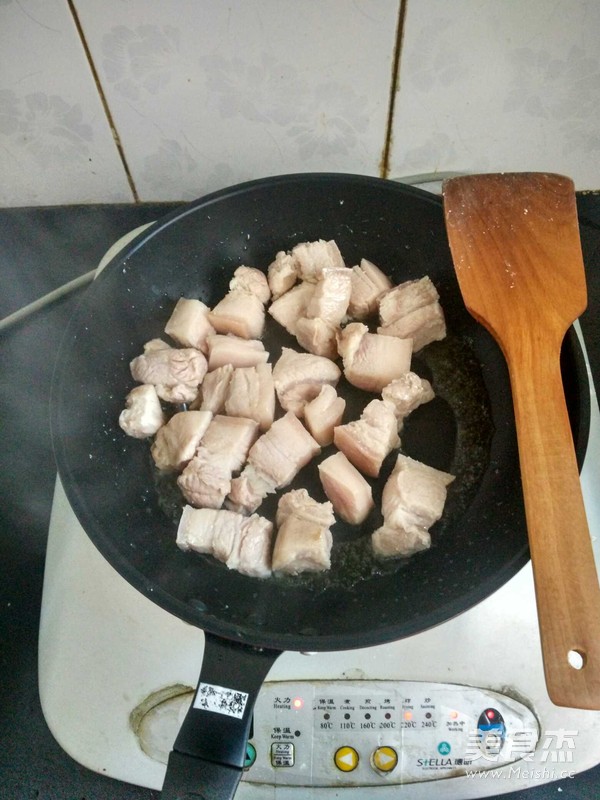 Braised Pork Stew recipe