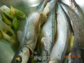 Fried Tuna recipe