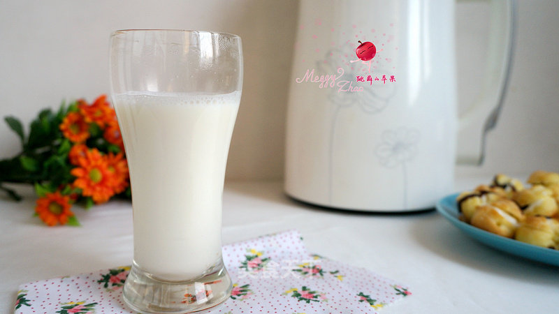 Soy Peanut Soy Milk recipe