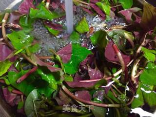 #春野菜# Root and Leaves in Cold Seasoning recipe