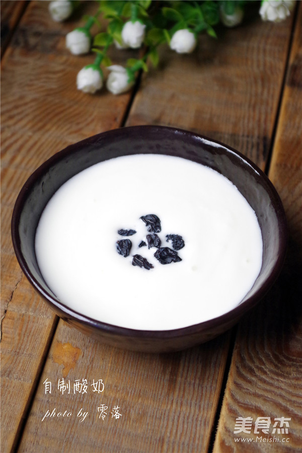 Homemade Plain Yogurt recipe