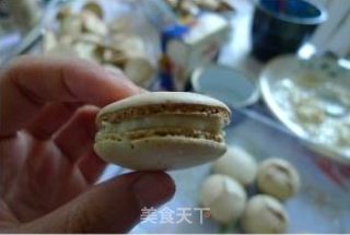 Pistachio Macaron (master Recipe-detailed Steps) recipe