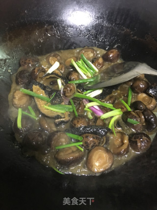 Braised Mushroom and Sea Cucumber with Abalone Sauce recipe