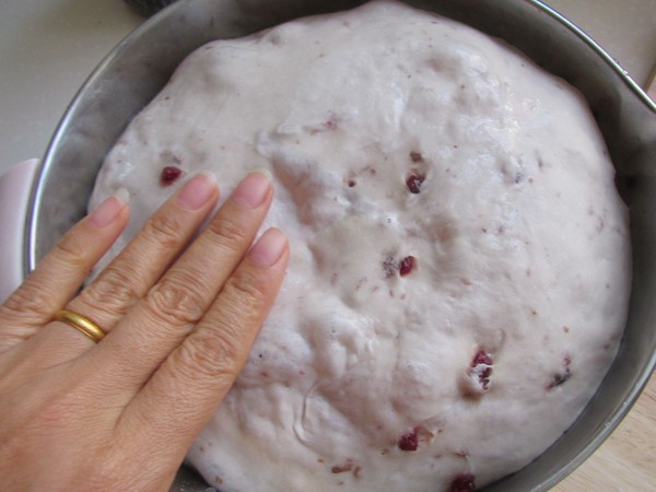 Rye Cranberry Soft European recipe