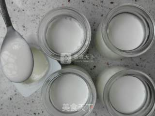 Simple Homemade Yogurt recipe