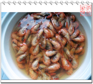 Brine Shrimp recipe