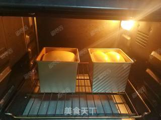 Water Cube Honey Small Toast recipe