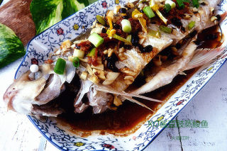 Steamed Dace in Xo Sauce with Black Bean Sauce recipe