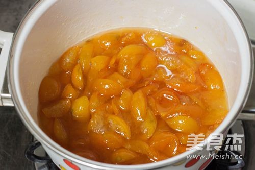 Honey Kumquat--a Little Expert on Cough and Asthma recipe