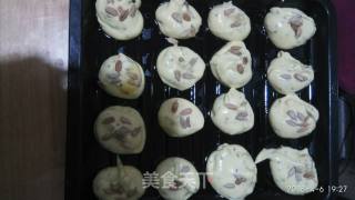 Anhydrous Mini Cakes recipe