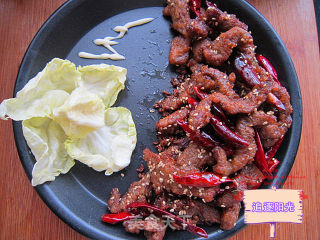Spicy Beef Strips-forever Classic recipe