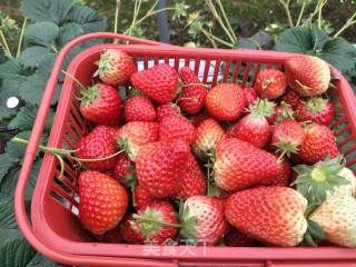 Homemade Strawberry Jam recipe