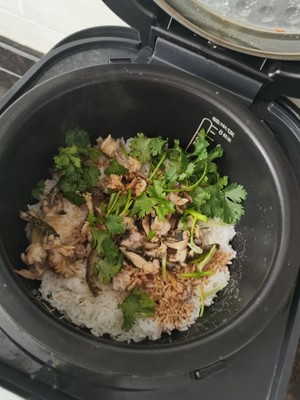 Lazy Version of Frog Baked Rice recipe