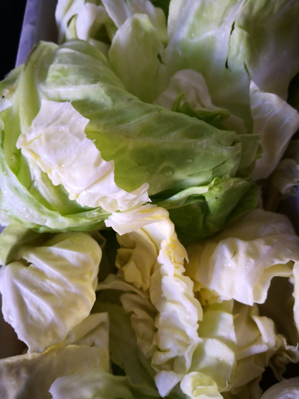 Bone Broth Stewed Cabbage Potatoes recipe
