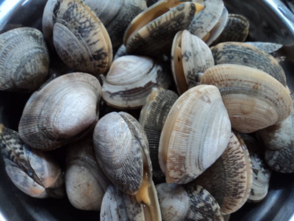 Garlic Clam recipe