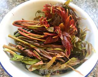 #春野菜# Toon Mixed with Golden Beans recipe