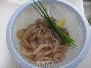 Brine Tide Shrimp recipe