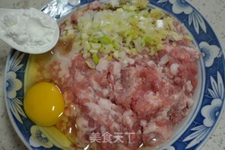 Sixi Meatballs recipe