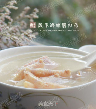 Cantonese Old Fire Soup---phoenix Claw Conch Lean Broth recipe