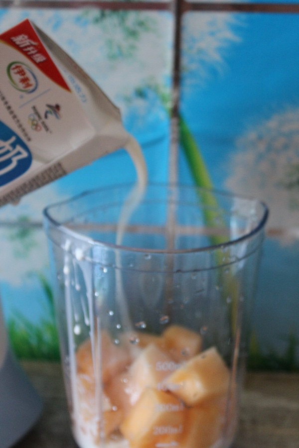 Delicious Cantaloupe Milkshake recipe