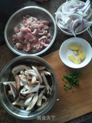Fried Pork with Onion recipe