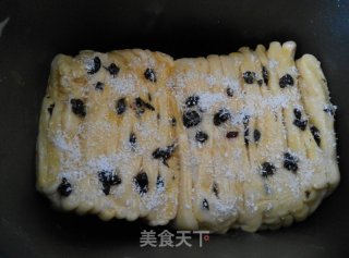 Melaleuca Coconut Blackcurrant Toast recipe