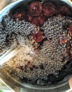 Homemade Bayberry Jam | Summer Limited Fast Hand Bayberry Jam recipe