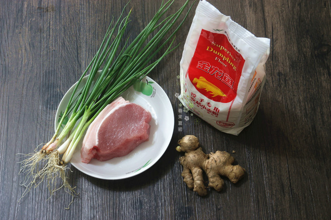 Fresh Meat Wonton (with Wonton Wrapper Production Process) recipe