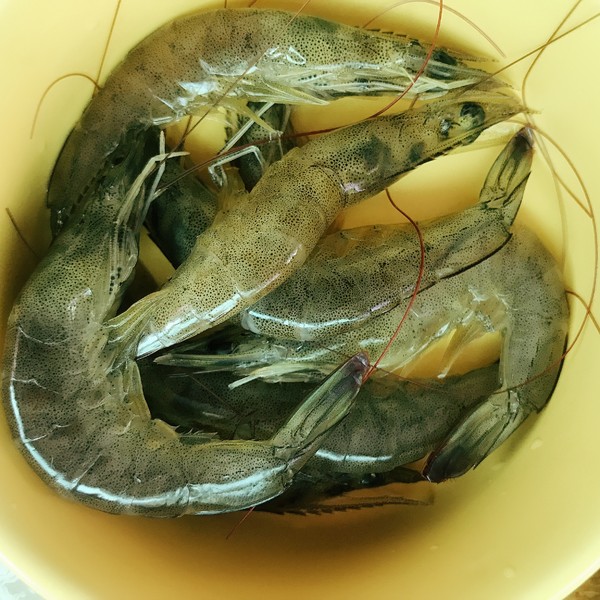 Seafood Porridge with Fresh Eyebrows recipe