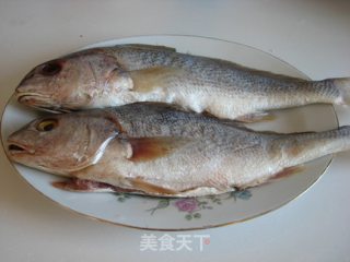 Black Croaker recipe