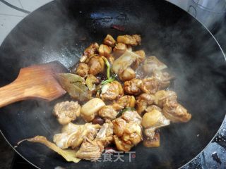 Zhang Yan's Delicious Braised Dish Three ------ Braised Duck Pieces recipe