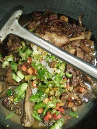 Braised Duck Meat recipe