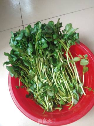 Stir-fried Watercress recipe