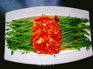 Pea Sprouts in Tomato Sauce recipe