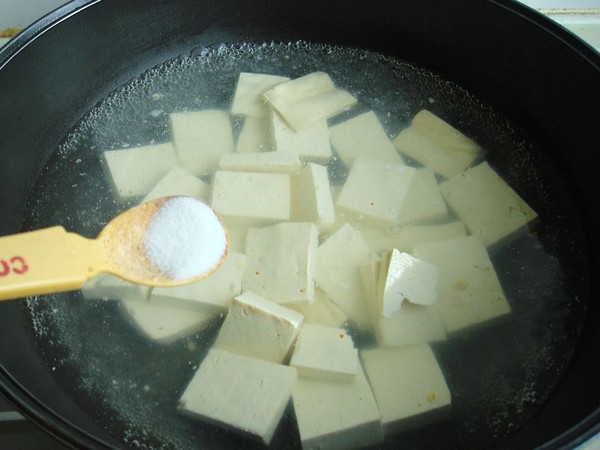 Braised Tofu with Sauce recipe