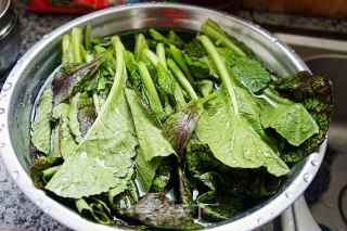 Vegetarian Stir-fried Mustard Greens recipe